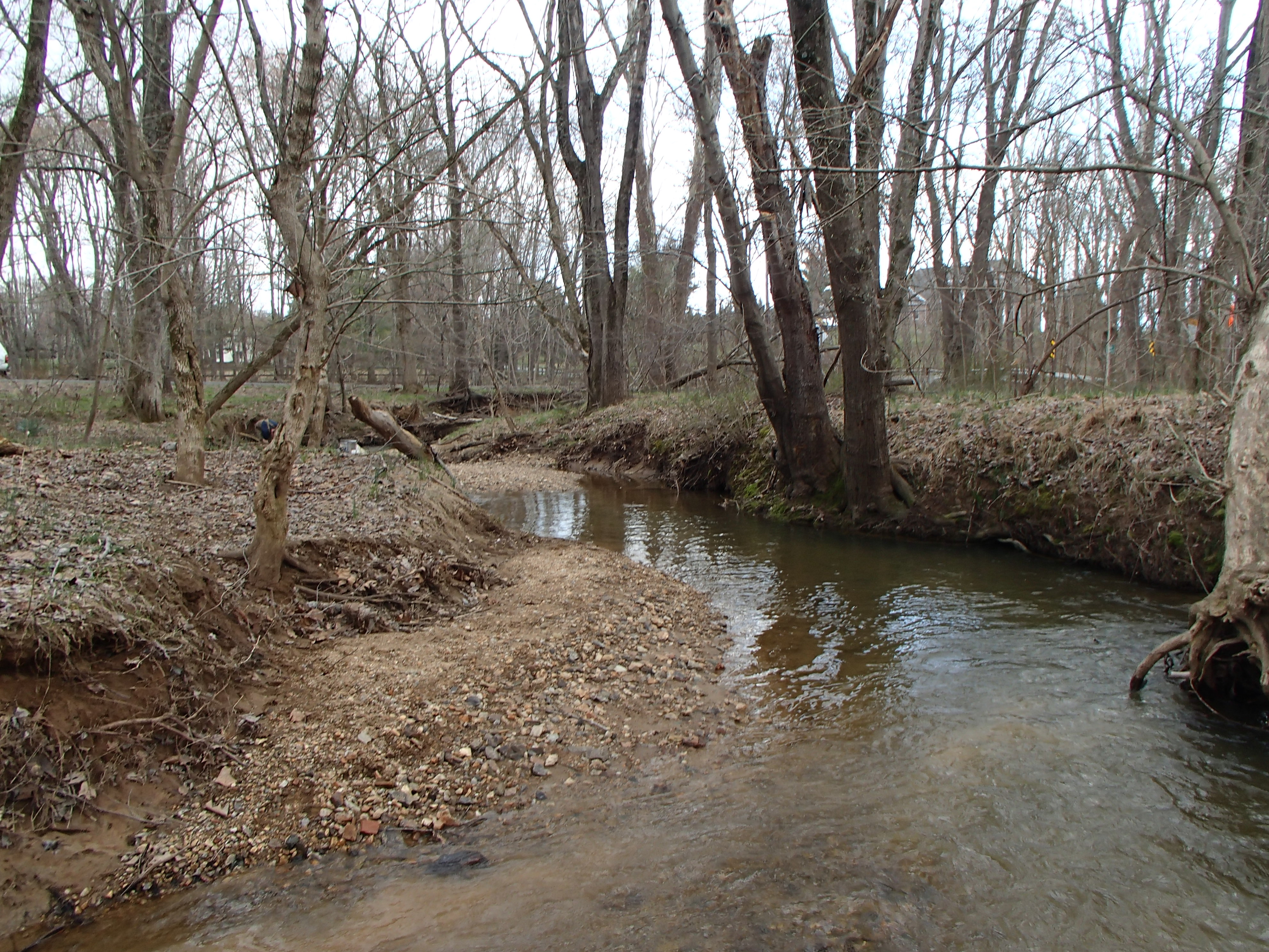 Field photo showing stream conditions at site PRMO-208-X-2016_Midpoint looking upstream